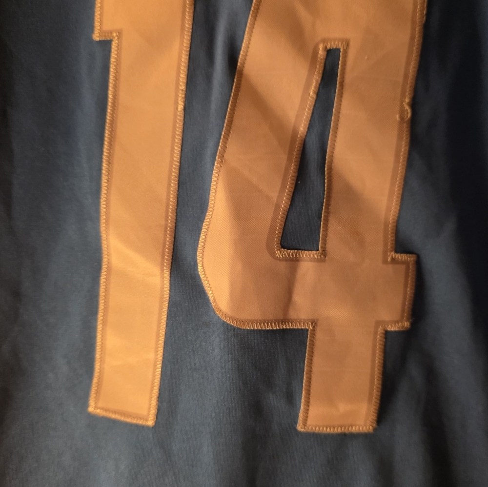 Amon-Ra St. Brown Nike Lions fancy jersey adult small Good Condition #14 Sewn on - Picture 2 of 3